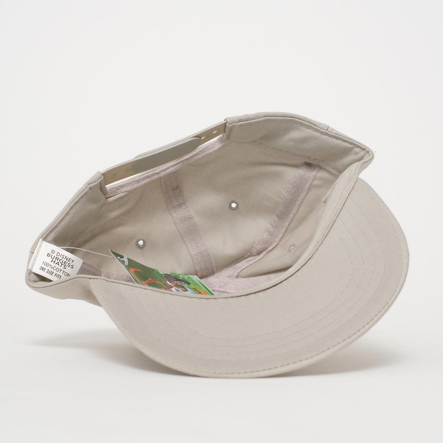 Vintage DS Kids Goofy Snapback 