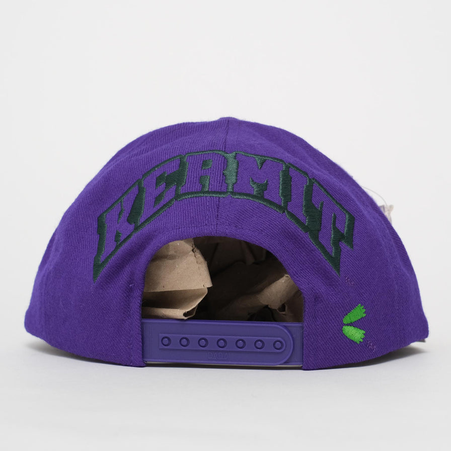 Vintage DS American Needle Kermit Snapback 