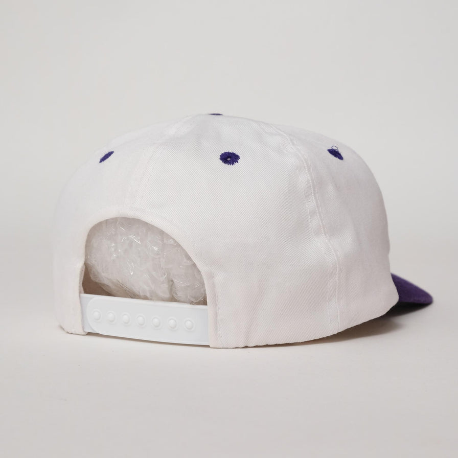 Vintage Hard Rock Cafe San Diego Snapback 