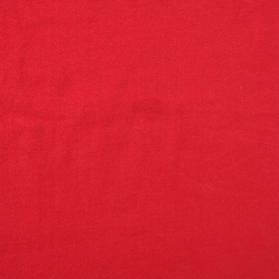 Vintage Detroit Red Wings T-Shirt Medium 