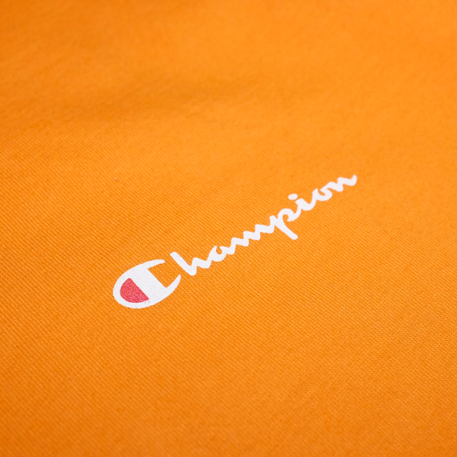 Vintage Champion T-Shirt Medium - Double Double Vintage