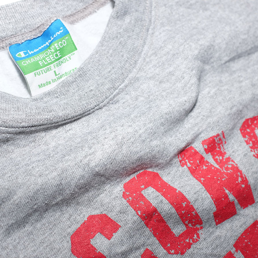 Vintage Champion Wisconsin Sweater Large - Double Double Vintage