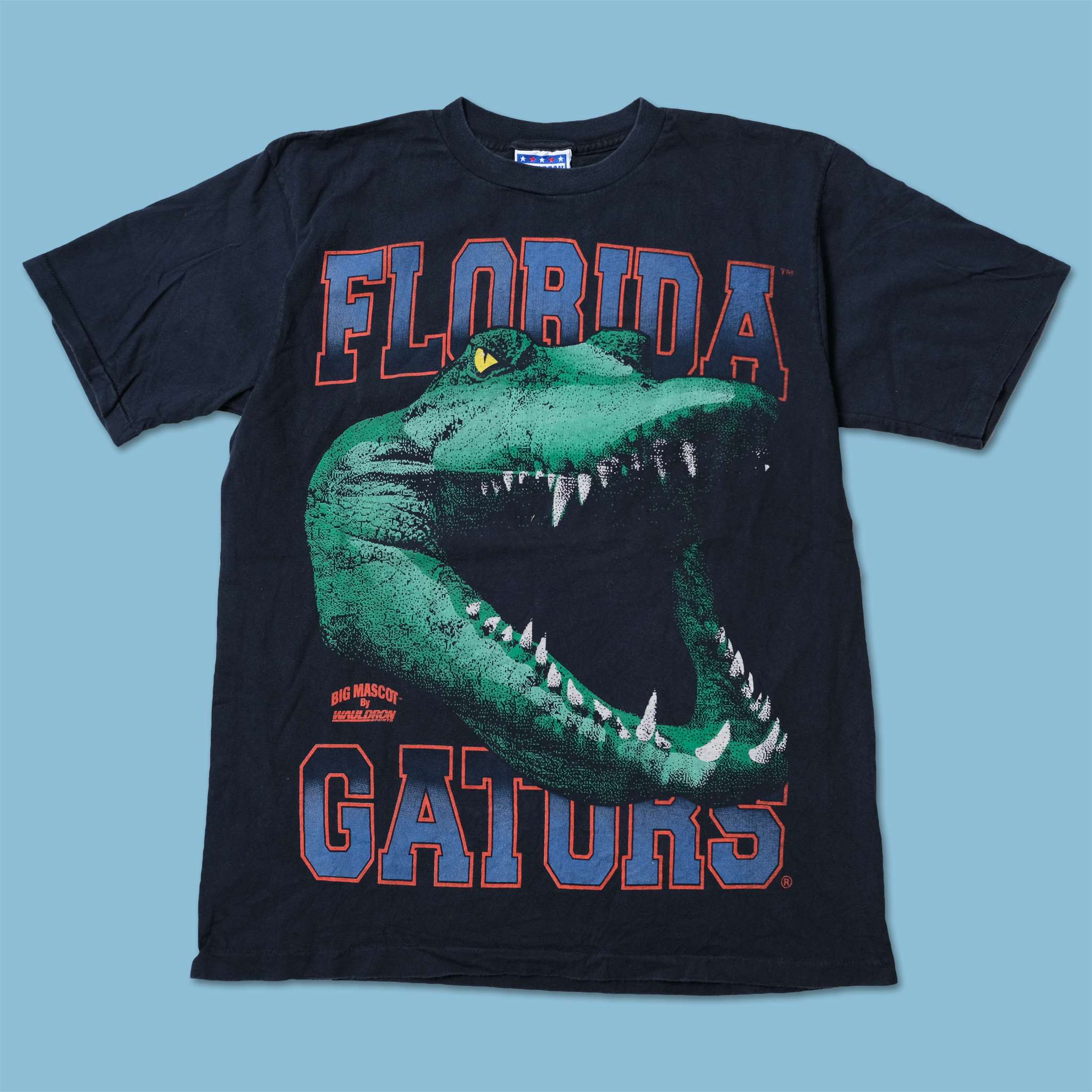 90s USA製 NFL Frorida Gators Tシャツ Mサイズ 90s USA製 NFL Frorida Gators Tシャツ Mサイズ
