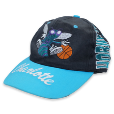 Vintage Charlotte Hornets Snapback - Double Double Vintage