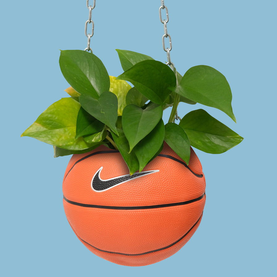 Nike Basketball Planter 