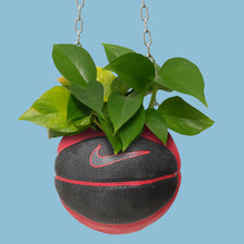 Nike Basketball Planter 
