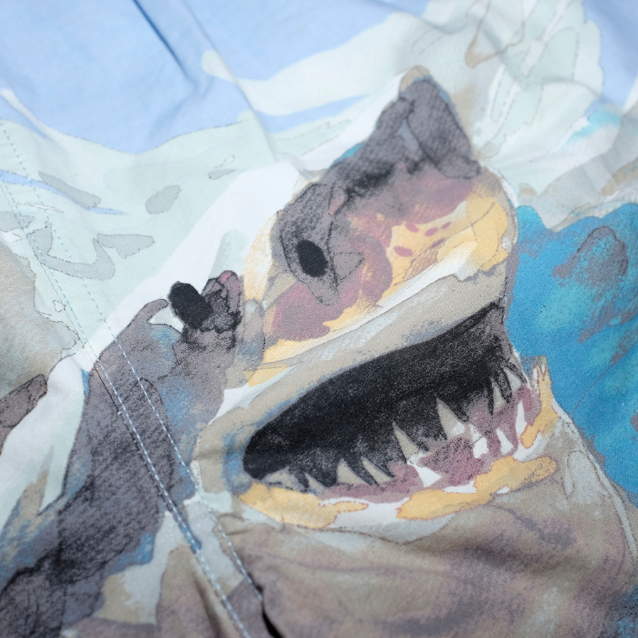 Polo Sport Ralph Lauren Shark Shorts Large - Double Double Vintage