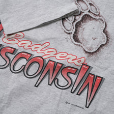 Vintage 1993 Wisconsin Badgers T-Shirt Large / XLarge