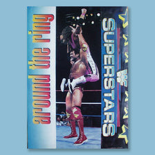 1993 WWF Super Stars Poster 